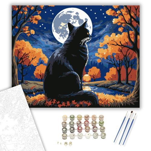 Őszi Éjszakák Mágus Macskája - számfestő készlet - Számfestő.hu - 40×50cm - keretre feszítve