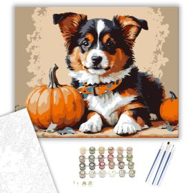 Őszi kiskutya tökökkel - számfestő készlet - Számfestő.hu - 40×50cm - keret nélkül
