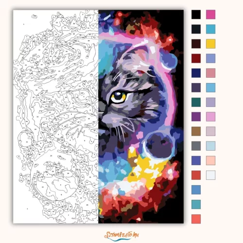 Cica a galaxisban - számfestő készlet - Számfestő.hu - 40×50cm - Keret nélkül