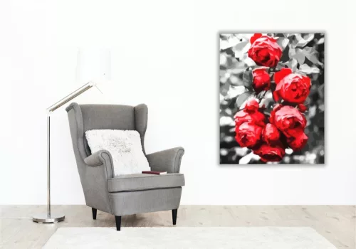 Vörös rózsabokor - számfestő készlet - Számfestő.hu - 40×50cm - keret nélkül