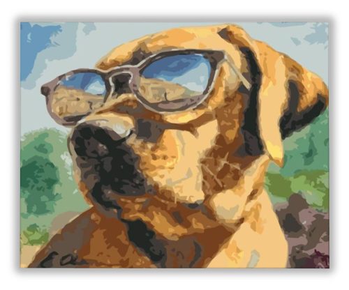Menő kutya - számfestő készlet