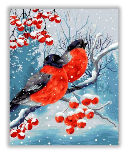 Téli madár csendélet - számfestő készlet