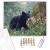 Felfedező medvebocs - számfestő készlet - Számfestő.hu - 40×50cm - keretre feszítve