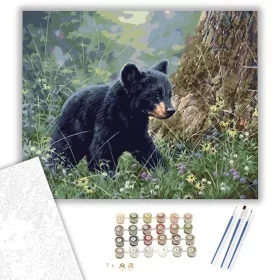 Felfedező medvebocs - számfestő készlet - Számfestő.hu - 40×50cm - keret nélkül