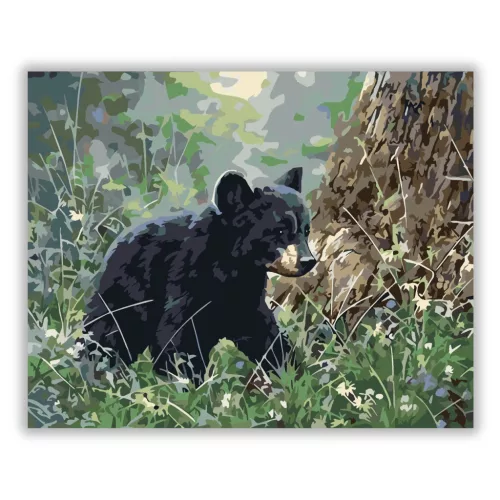 Felfedező medvebocs - számfestő készlet - Számfestő.hu - 40×50cm - Keretre feszítve