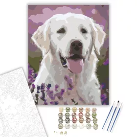 Kutya a levendulák között - számfestő készlet - Számfestő.hu - 40×50cm - keret nélkül