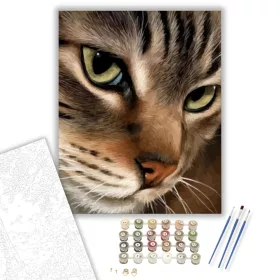 Cica figyelem - számfestő készlet - Számfestő.hu - 40×50cm - keret nélkül