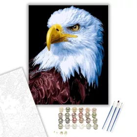 Sas tekintete - számfestő készlet - Számfestő.hu - 40×50cm - keret nélkül