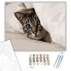 Kiscica a takaró alatt - számfestő készlet - Számfestő.hu - 40×50cm - keret nélkül