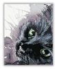Fekete cica - számfestő készlet