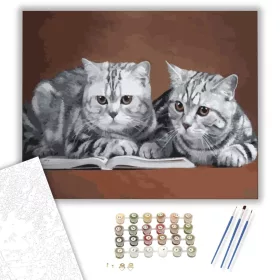 Olvasó cicák - számfestő készlet - Számfestő.hu - 40×50cm - keret nélkül