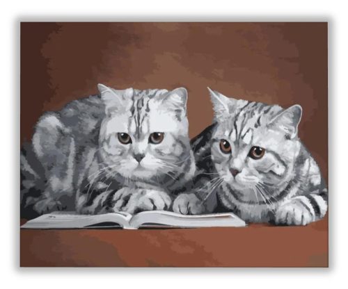 Olvasó cicák - számfestő készlet