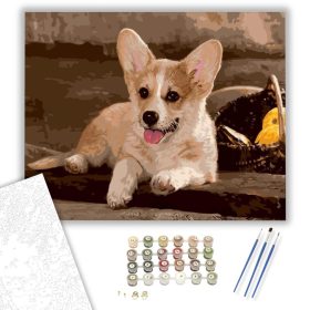 Welsh Corgi kutya - számfestő készlet - Számfestő.hu - 40×50cm - keret nélkül