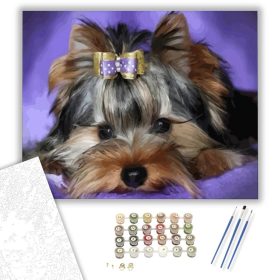 Yorki - számfestő készlet - Számfestő.hu - 40×50cm - keret nélkül