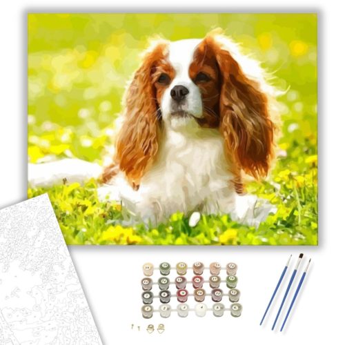 Spániel - számfestő készlet - Számfestő.hu - 80×100cm - keretre feszítve