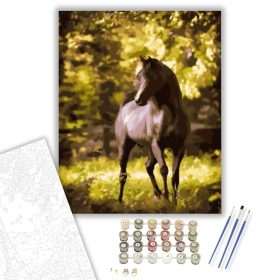 Paripa - számfestő készlet - Számfestő.hu - 40×50cm - keret nélkül