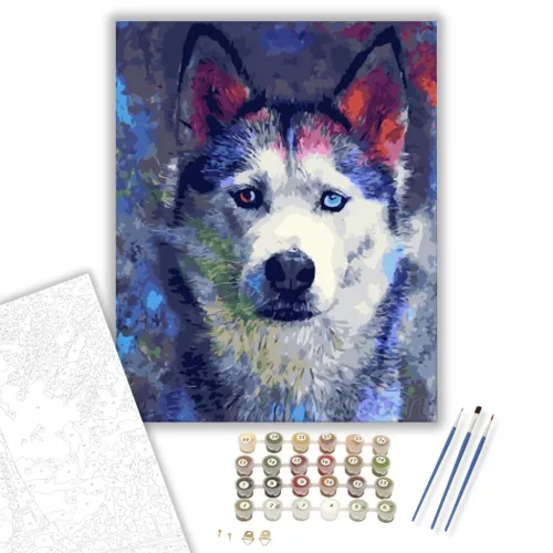Husky kutya - számfestő készlet - Számfestő.hu - 40×50cm - keretre feszítve