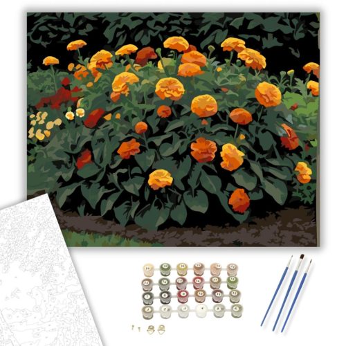 Őszirózsák Tüze - számfestő készlet - Számfestő.hu - 60×70cm - keretre feszítve