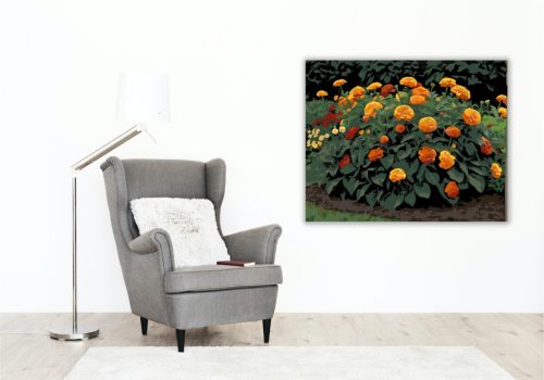 Őszirózsák Tüze - számfestő készlet - Számfestő.hu - 50×60cm - keretre feszítve