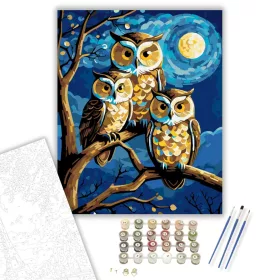 Holdfényes Baglyok Harmóniája - számfestő készlet - Számfestő.hu - 40×50cm - keret nélkül