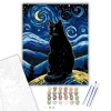 Éjszakai Csillagok Macskája - számfestő készlet - Számfestő.hu - 40×50cm - keret nélkül