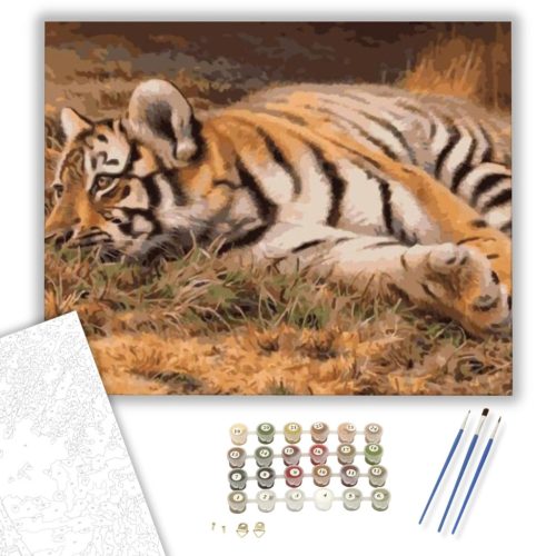 Pihenő tigris - számfestő készlet - Számfestő.hu - 50×60cm - keretre feszítve