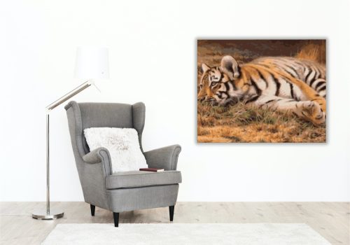Pihenő tigris - számfestő készlet - Számfestő.hu - 40×50cm - keret nélkül