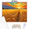 Aranyló Búzamezők Szépsége - számfestő készlet - Számfestő.hu - 40×50cm - Keretre feszítve