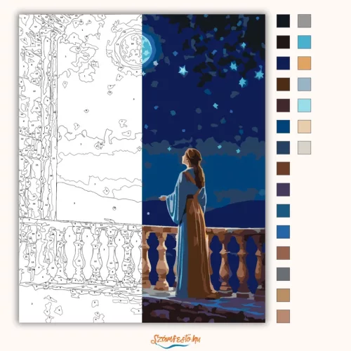 Csillagidéző - számfestő készlet - Számfestő.hu - 40×50cm - Keretre feszítve