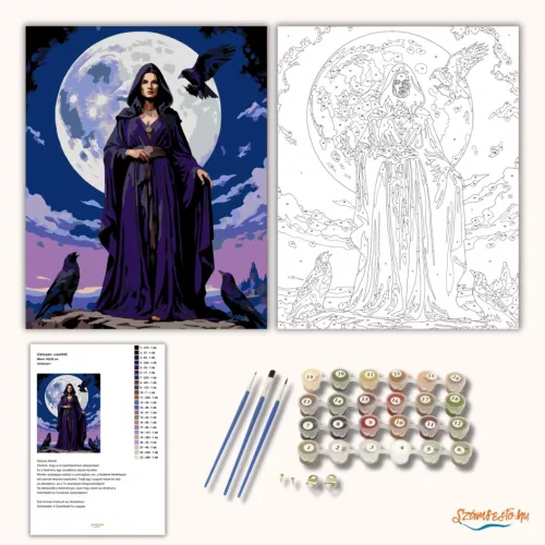 Hollószem - számfestő készlet - Számfestő.hu - 40×50cm - Keretre feszítve