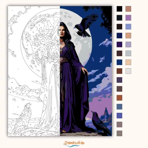 Hollószem - számfestő készlet - Számfestő.hu - 40×50cm - Keret nélkül