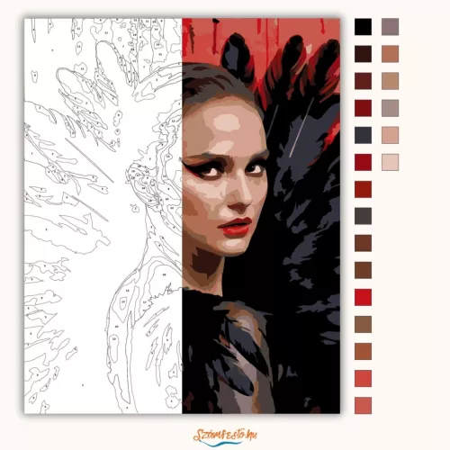 Fekete hattyú - számfestő készlet - Számfestő.hu - 40×50cm - Keretre feszítve