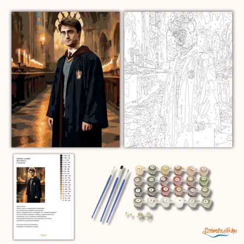 A varázsló útja - számfestő készlet - Számfestő.hu - 40×50cm - Keretre feszítve