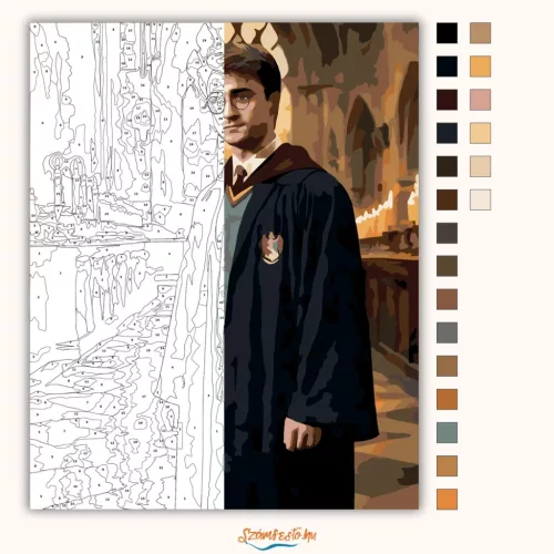 A varázsló útja - számfestő készlet - Számfestő.hu - 40×50cm - Keretre feszítve