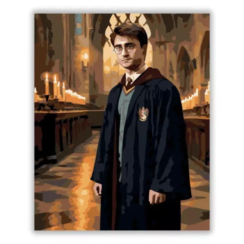 A varázsló útja - számfestő készlet - Számfestő.hu - 40×50cm - Keretre feszítve