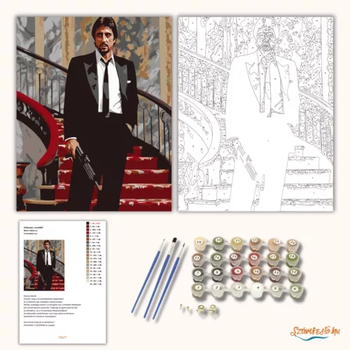 A birodalom ura - számfestő készlet - Számfestő.hu - 60×70cm - Keret nélkül