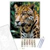 Jaguar a Dzsungelben - számfestő készlet - Számfestő.hu - 50×60cm - keretre feszítve