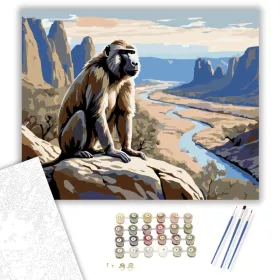 Pávián a Sziklás Folyóparton - számfestő készlet - Számfestő.hu - 40×50cm - keret nélkül