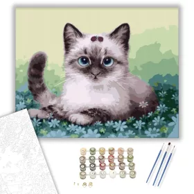 Kiscica a virágokban - számfestő készlet - Számfestő.hu - 40×50cm - keret nélkül