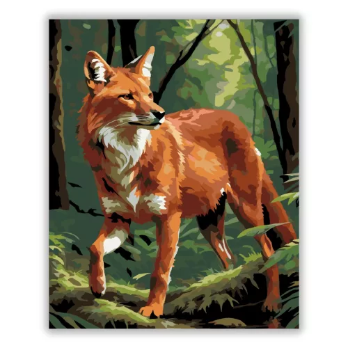 Dhole az Erdő Mélyén - számfestő készlet - Számfestő.hu - 40×50cm - Keret nélkül