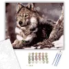 Havas farkas - számfestő készlet - Számfestő.hu - 50×60cm - keret nélkül
