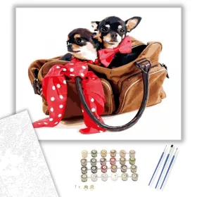 Csivavák táskában - számfestő készlet - Számfestő.hu - 40×50cm - keret nélkül