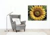Napraforgó Részlet - számfestő készlet - Számfestő.hu - 60×70cm - keretre feszítve
