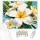 Trópusi Plumeria Virágok - számfestő készlet - Számfestő.hu - 50×60cm - keretre feszítve