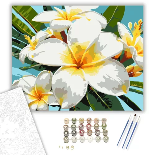 Trópusi Plumeria Virágok - számfestő készlet - Számfestő.hu - 50×60cm - keretre feszítve