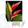 Vibráló Heliconia Virág - számfestő készlet - Számfestő.hu - 40×50cm - keret nélkül