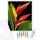 Vibráló Heliconia Virág - számfestő készlet - Számfestő.hu - 40×50cm - keret nélkül