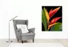 Vibráló Heliconia Virág - számfestő készlet - Számfestő.hu - 40×50cm - keret nélkül