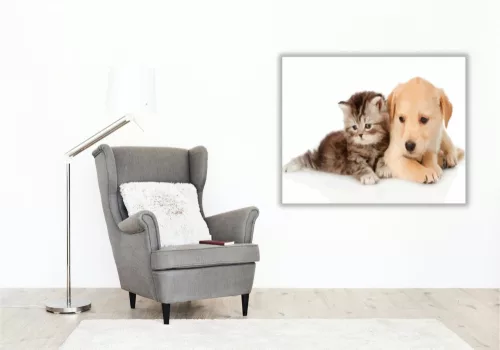 Kis aranyosak - számfestő készlet - Számfestő.hu - 80×100cm - keret nélkül