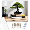 Modern Bonsai a Fa Asztalon - számfestő készlet - Számfestő.hu - 40×50cm - keretre feszítve